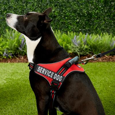 Show full view: Chai's Choice Service Dog Harness, Red, Large: 25 to 33.5-in chest slide 5 of 11