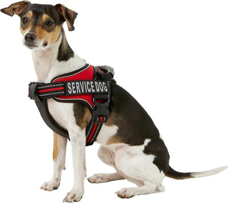Chai's Choice Service Dog Harness