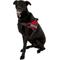 Show in main carousel: Chai's Choice Service Dog Harness, Red, XX-Large: 32.5 to 45.5-in chest slide 4 of 12
