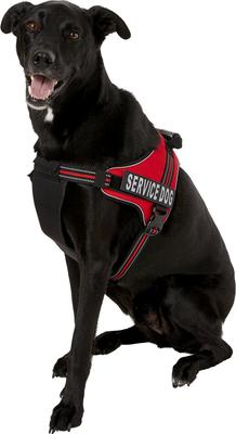 Show full view: Chai's Choice Service Dog Harness, Red, XX-Large: 32.5 to 45.5-in chest slide 4 of 12