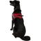 Show in main carousel: Chai's Choice Service Dog Harness, Red, XX-Large: 32.5 to 45.5-in chest slide 5 of 12