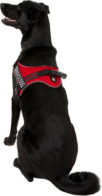Show full view: Chai's Choice Service Dog Harness, Red, XX-Large: 32.5 to 45.5-in chest slide 5 of 12