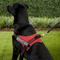 Show in main carousel: Chai's Choice Service Dog Harness, Red, XX-Large: 32.5 to 45.5-in chest slide 6 of 12