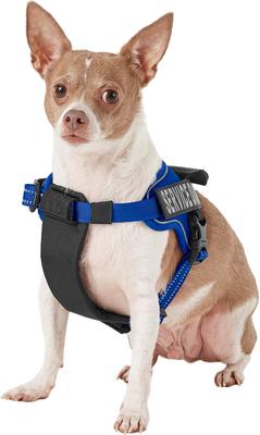 Show full view: Chai's Choice Service Dog Harness, Royal Blue, X-Small: 16 to 21-in chest slide 3 of 11