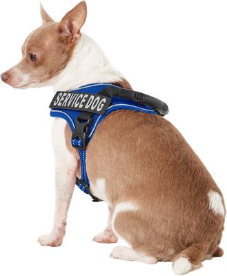 Show full view: Chai's Choice Service Dog Harness, Royal Blue, X-Small: 16 to 21-in chest slide 4 of 11