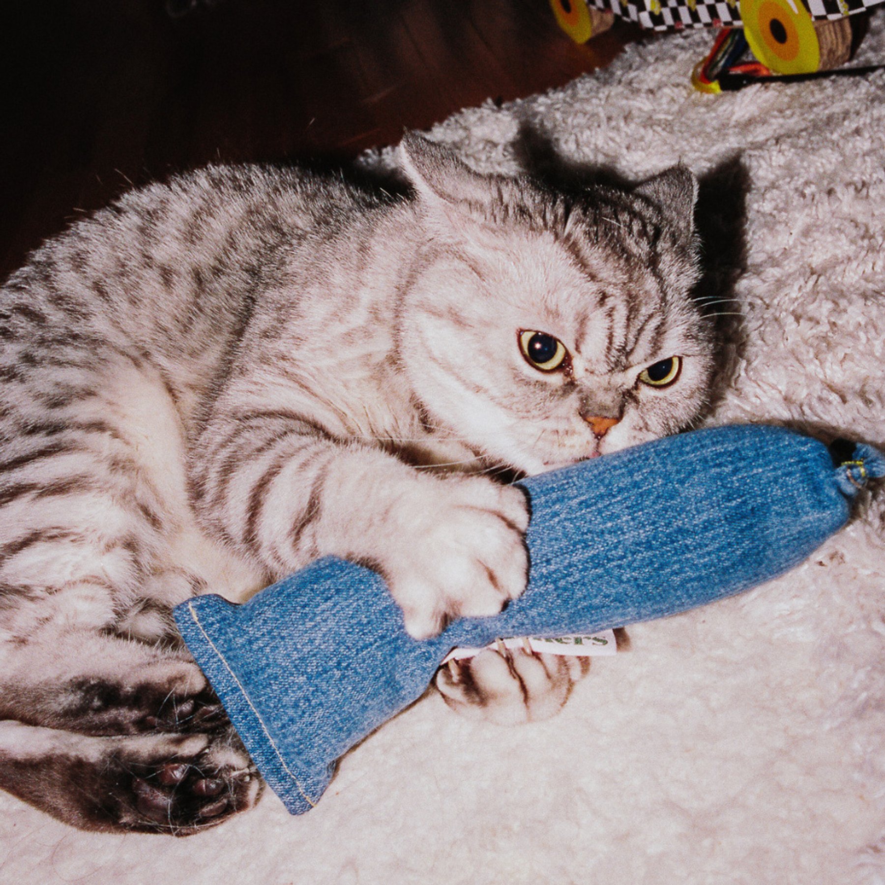Char and Whiskers Denim Nood Kicker Catnip Plush Cat Toy, Blue