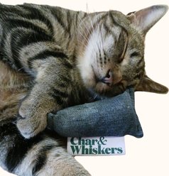 Char and Whiskers Denim Nugget Catnip Plush Cat Toy, Blue