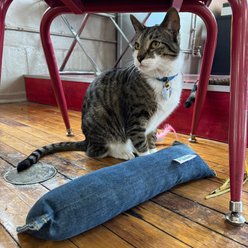 Char and Whiskers XL Denim Kicker Catnip Plush Cat Toy, Blue