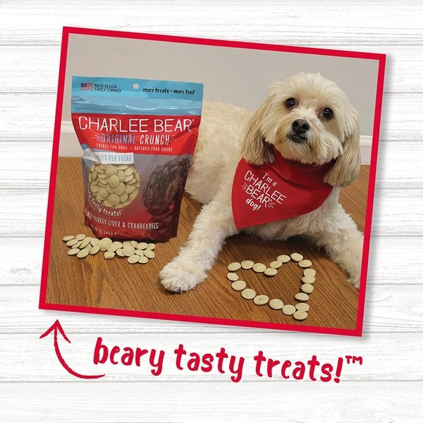 Artisan Inspired Turkey Stuffing & Cranberry Flavor Biscuits Dog Treats, 16-oz bag