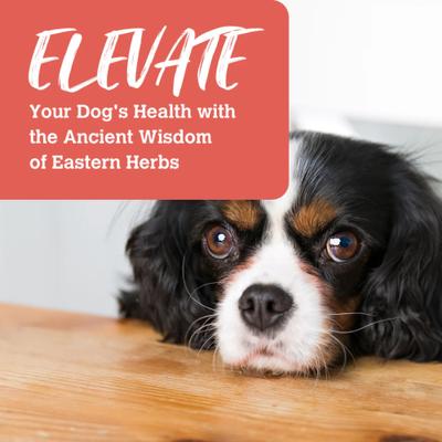 Show full view: Charmy Beef & Duck Boost with Goji Berry Adult Freeze-Dried Dog Food, 13.5-oz bag slide 6 of 6