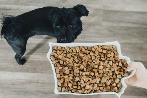 Show full view: Chasing Our Tails Integra Pet Chick It Out Air Dried Dog Food, 2.5-lb box slide 5 of 6