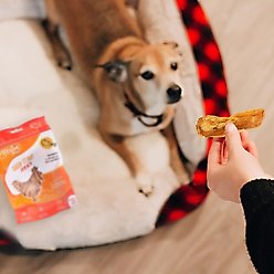 Chasing Our Tails Integra Pet Chick It Out Jerky Grain-Free Dog Treats, 3-oz bag slide 2 of 4
