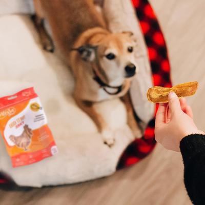 Show full view: Chasing Our Tails Integra Pet Chick It Out Jerky Grain-Free Dog Treats, 3-oz bag slide 5 of 6