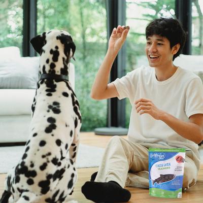 Show full view: Chasing Our Tails Integra Pet Fresh Catch Trainers Dog Treats, 6-oz bag slide 5 of 6