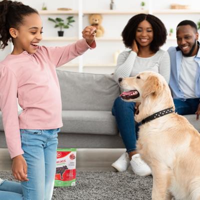 Show full view: Chasing Our Tails Integra Pet Land Lovers Trainers Dog Treats, 6-oz bag slide 5 of 6