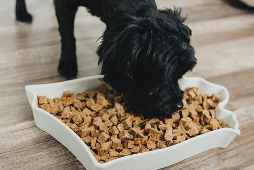 Show full view: Chasing Our Tails Integra Pet Land & Sea Air Dried Dog Food, 2.5-lb box slide 4 of 6