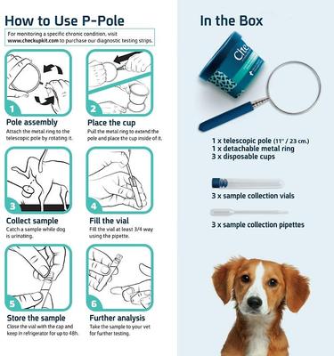 Show full view: CheckUp P-Pole Telescopic Pole, Cups, Pipettes & Vials Dog Urine Collection Pack slide 5 of 6