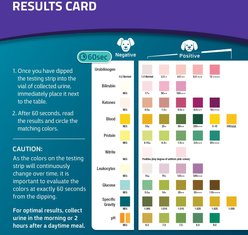 CheckUp Pro Telescopic Pole Urine Collection Home Test Kit for Dogs slide 2 of 7
