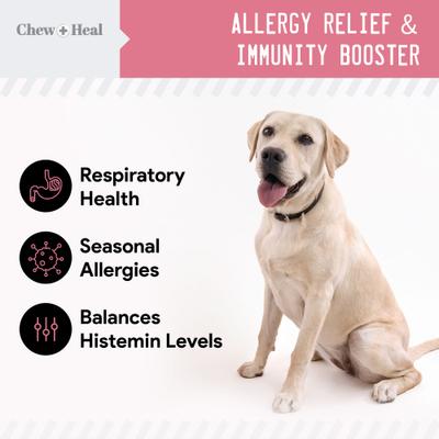 Show full view: Chew + Heal 4-IN-1 Support Chews Dog Supplement & Chew + Heal Allergy Aid Chews Dog Supplement, 210 count slide 9 of 11