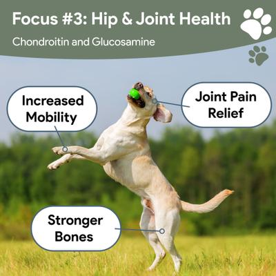 Show full view: Chew + Heal 4-In-1 Support Multivitamin Dog Supplement, 120 count slide 8 of 10
