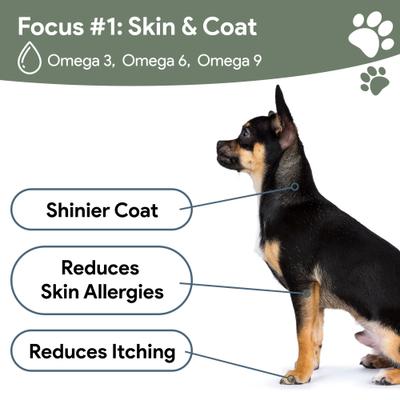 Show full view: Chew + Heal 4-In-1 Support Multivitamin Dog Supplement, 180 count slide 6 of 10