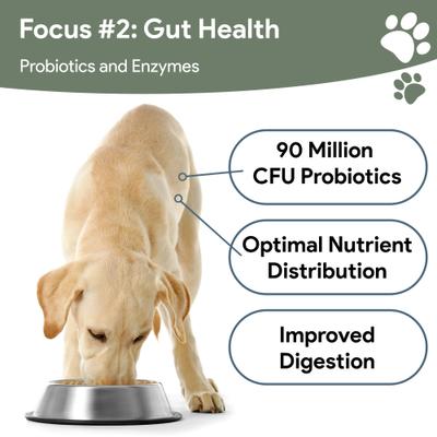 Show full view: Chew + Heal 4-In-1 Support Multivitamin Dog Supplement, 180 count slide 7 of 10