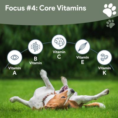 Show full view: Chew + Heal 4-In-1 Support Multivitamin Dog Supplement, 180 count slide 9 of 10