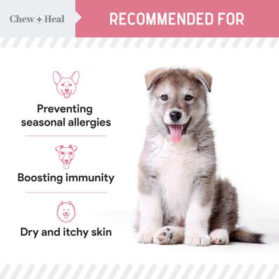 Show full view: Chew + Heal Allergy Aid Soft Chew Allergy Supplement for Dogs, 180 count slide 5 of 9