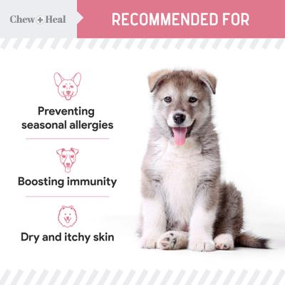 Show full view: Chew + Heal Allergy Aid Soft Chew Allergy Supplement for Dogs, 90 count slide 6 of 10