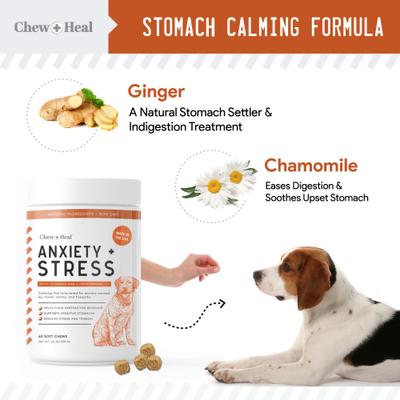 Show full view: Chew + Heal Anxiety & Stress, 60 count + Omega Skin + Coat Dog Supplement, 180 count slide 5 of 9