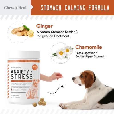 Show full view: Chew + Heal Anxiety & Stress Dog Supplement, 1-pack, 60 count slide 5 of 9