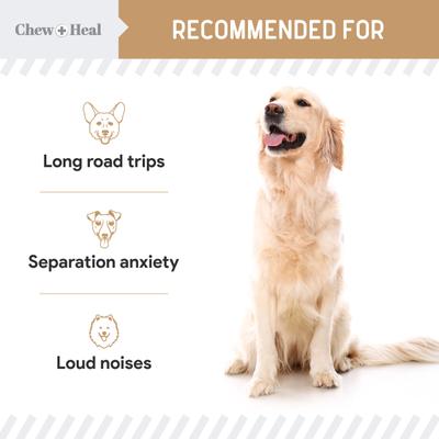 Show full view: Chew + Heal Anxiety + Stress Peanut Butter Flavored Soft Chew Calming Dog Supplement, 120 count slide 6 of 11