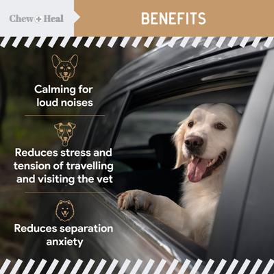 Show full view: Chew + Heal Anxiety + Stress Peanut Butter Flavored Soft Chew Calming Dog Supplement, 60 count slide 8 of 11