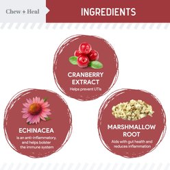 Chew + Heal Cranberry Support Urinary Tract Supplement for Dogs, 120 count slide 2 of 8
