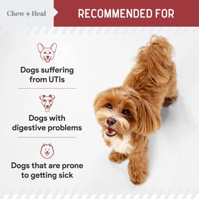Show full view: Chew + Heal Cranberry Support Urinary Tract Supplement for Dogs, 240 count slide 6 of 10