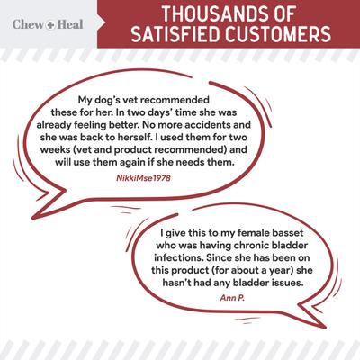 Show full view: Chew + Heal Cranberry Support Urinary Tract Supplement for Dogs, 240 count slide 5 of 10