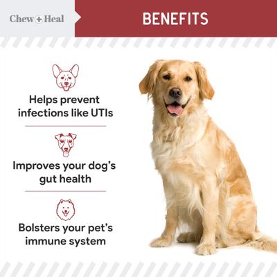 Show full view: Chew + Heal Cranberry Support Urinary Tract Supplement for Dogs, 240 count slide 4 of 10