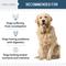 Show in main carousel: Chew + Heal Digestive Enzymes & Probiotics Supplement for Dogs, 120 count slide 6 of 10