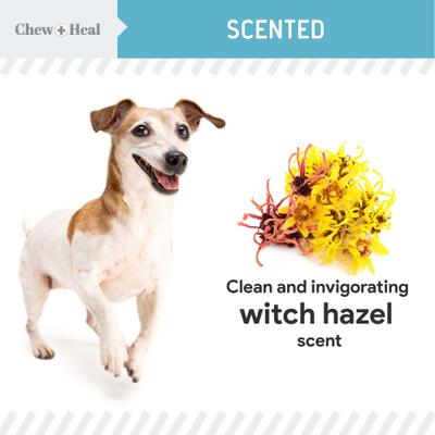 Show full view: Chew + Heal Fresh Scent, Soothing Aloe, Witch Hazel & Tea Tree Oil Dog Ear Cleaner, 4-fl oz bottle slide 5 of 9
