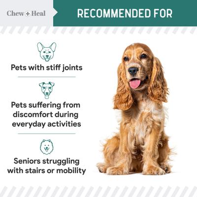 Show full view: Chew + Heal Green Lipped Mussel Powder Joint & Ligament Health Supplement for Dogs & Cats, 2-oz jar slide 9 of 11