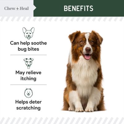 Show full view: Chew + Heal Hydrocortisone Lotion for Dogs, 4-fl oz bottle slide 7 of 10