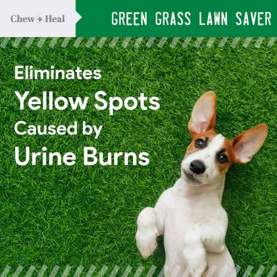 Show full view: Chew + Heal Lawn Savor Soft Chew Lawn Protection Supplement for Dogs, 120 count slide 3 of 9