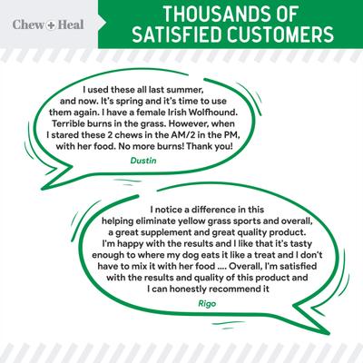 Show full view: Chew + Heal Lawn Savor Soft Chew Lawn Protection Supplement for Dogs, 240 count slide 5 of 10