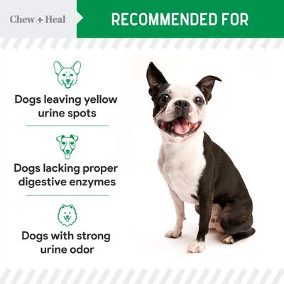 Show full view: Chew + Heal Lawn Savor Soft Chew Lawn Protection Supplement for Dogs, 240 count slide 6 of 10