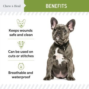 Chew + Heal Liquid Bandage for Dogs, 4-fl oz bottle