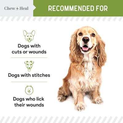 Show full view: Chew + Heal Liquid Bandage for Dogs, 8-fl oz bottle slide 6 of 10