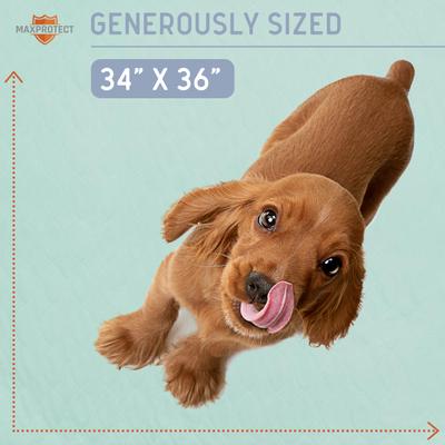 Show full view: Chew + Heal Max Protect Pawformance Reusable Dog Pee Pads, 34x 36-in, 2 count slide 5 of 9
