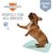 Show in main carousel: Chew + Heal Max Protect Pawformance Reusable Dog Pee Pads, 34x 36-in, 2 count slide 6 of 9