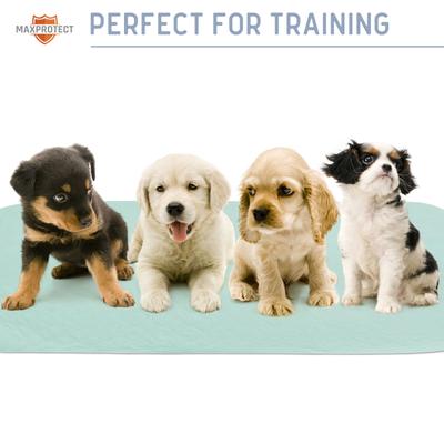 Show full view: Chew + Heal Max Protect Pawformance Reusable Dog Pee Pads, 34x 36-in, 2 count slide 8 of 9