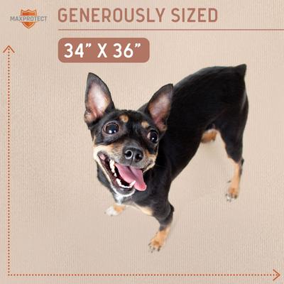 Show full view: Chew + Heal Max Protect Plaid Reusable Dog Pee Pads, 34-in, 3 count slide 5 of 9